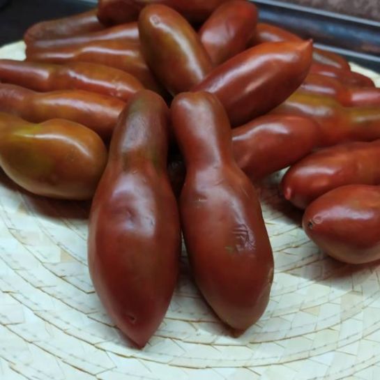 Томат Баварские колбаски