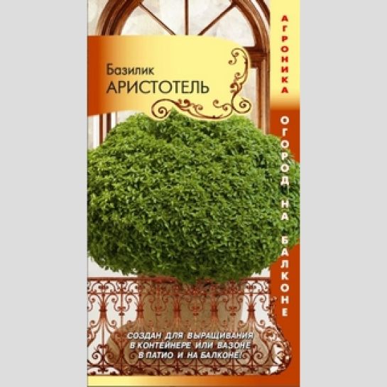 Базилик Аристотель (Огород на балконе)