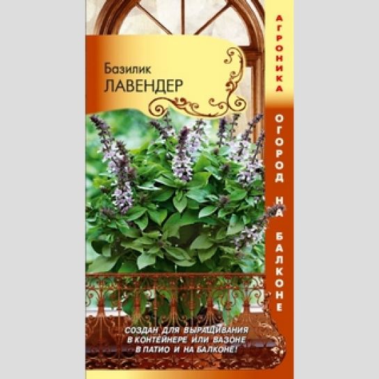 Базилик Лавендер (Огород на балконе)
