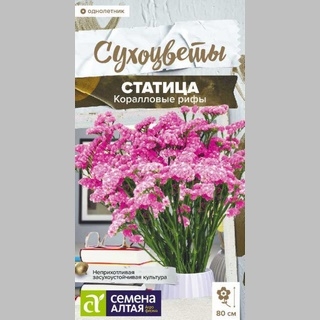 Статица Коралловые рифы - Семена Тут