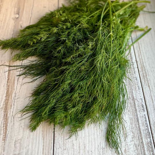 Укроп Сарри (большой пакет)