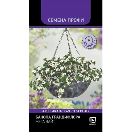 Бакопа Мега Вайт грандифлора