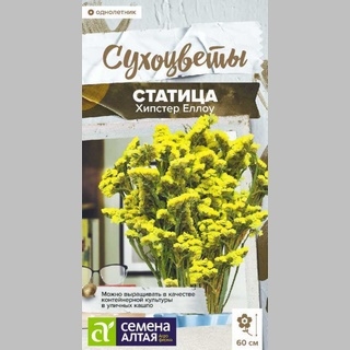 Статица Хипстер Еллоу - Семена Тут