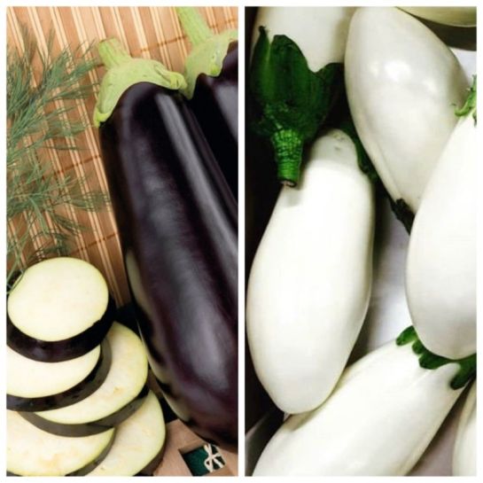 Дуэт Баклажан Мечта дачника +Молочник