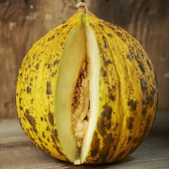 Дыня-малышка Яблоко (большой пакет)