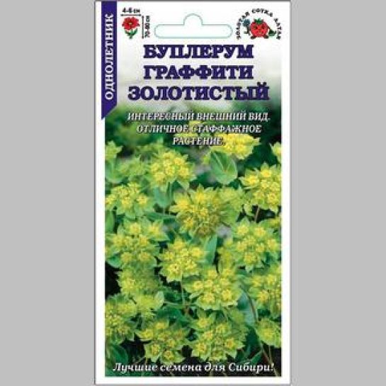 Буплерум Граффити (золотистый)