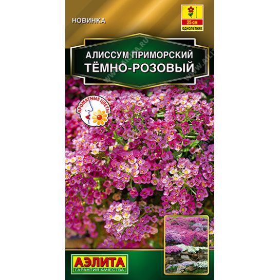 Алиссум Тёмно-розовый приморский