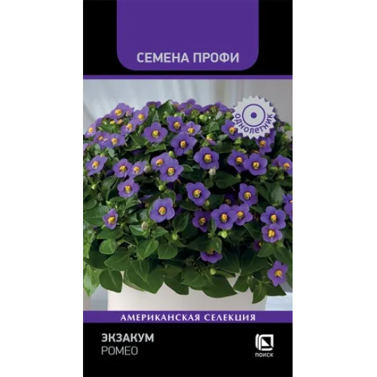 Экзакум Ромео (Семена Профи)