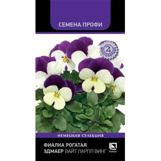 Фиалка Эдмаер Вайт Парпл Винг (рогатая)