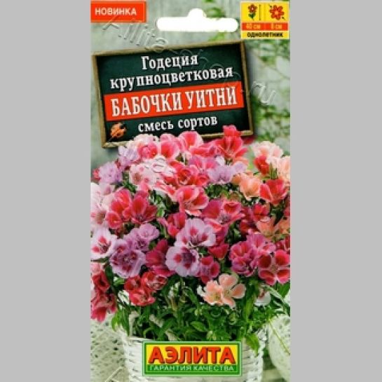 Годеция Бабочки Уитни крупноцветковая смесь