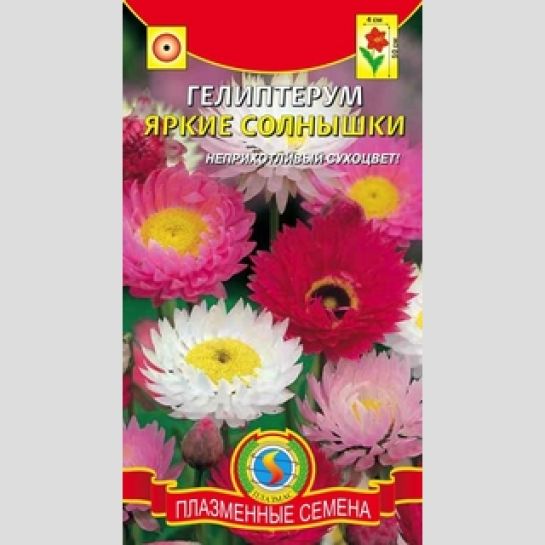Гелиптерум Яркие Солнышки (акроклинум)