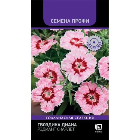 Гвоздика Диана Рэдиант Скарлет