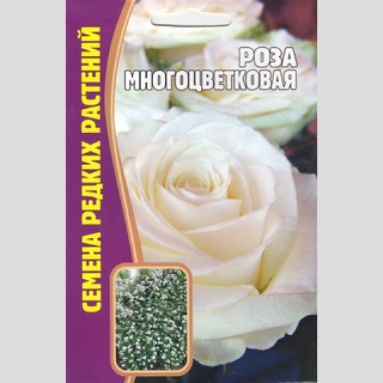 Роза Многоцветковая Белая (большой пакет)