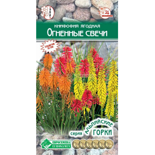 Книфофия Огненные свечи (ягодная)