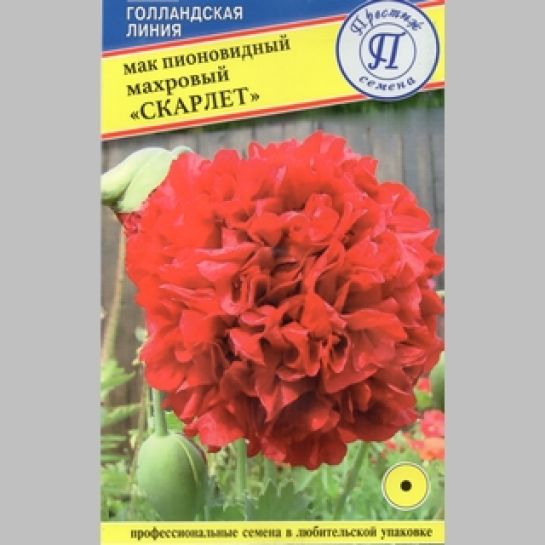 Мак Скарлет (пионовидный)