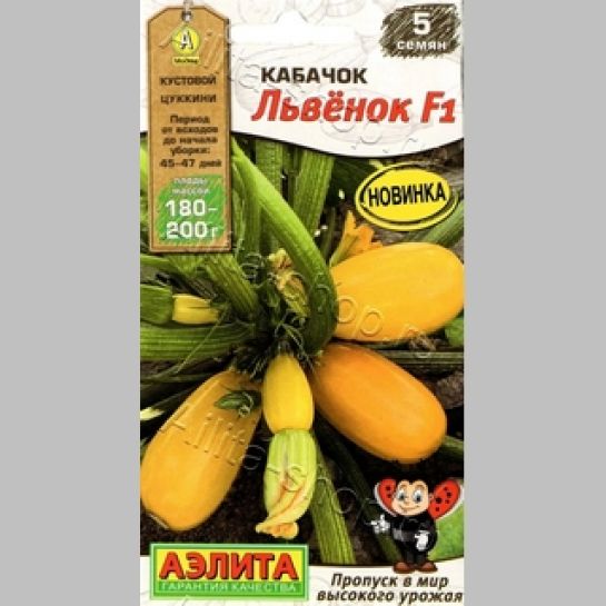Кабачок Львёнок F1