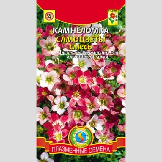 Камнеломка Самоцветы смесь