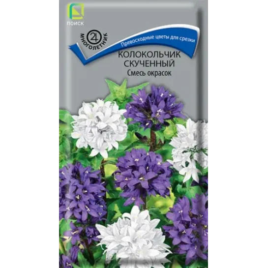 Колокольчик Смесь окрасок (скученный)