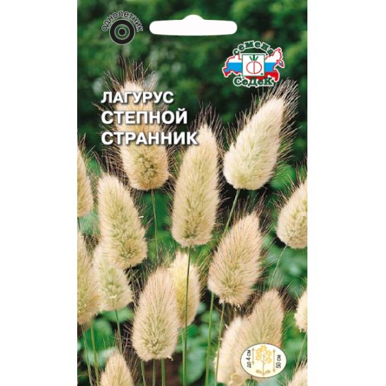 Лагурус Степной Странник