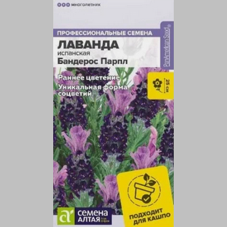 Лаванда Бандерос Парпл испанская - Семена Тут