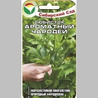 Любисток Ароматный чародей - Семена Тут