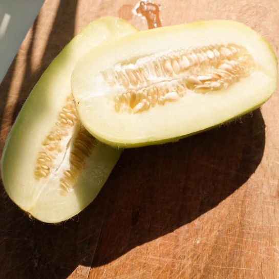 Огурдыня Каразелла