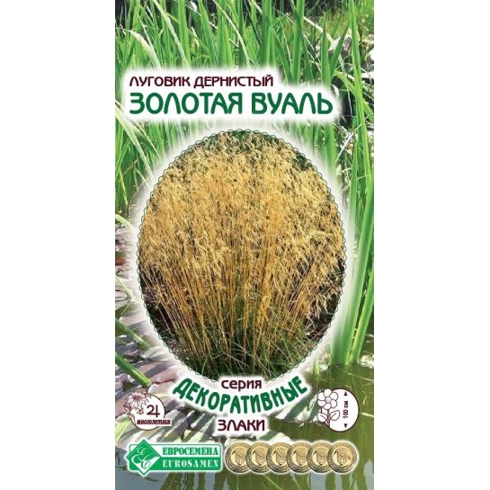 Луговик Золотая Вуаль (дернистый)