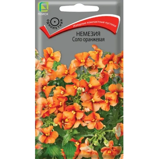 Немезия Соло Оранжевая
