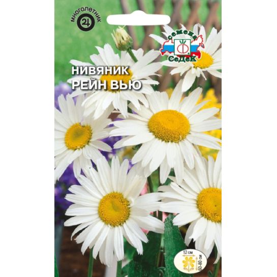 Нивяник Рейн Вью