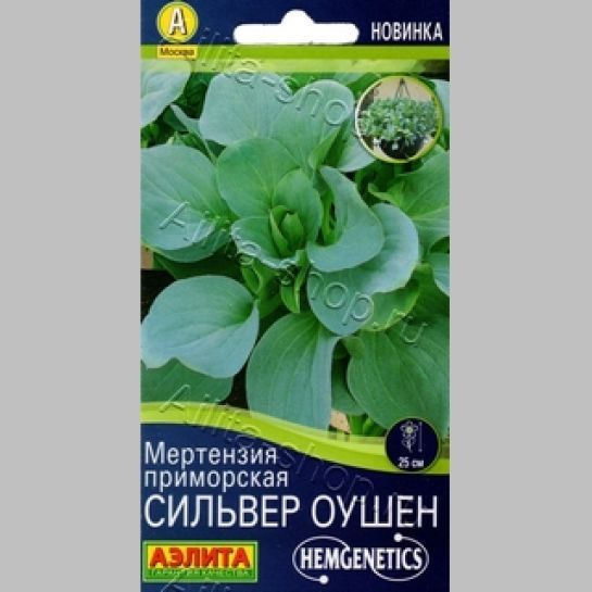 Мертензия Сильвер Оушен (приморская)