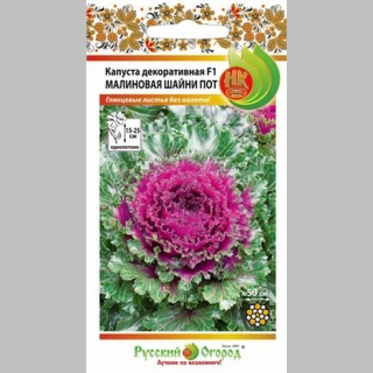 Капуста Шанни Пот F1 Малиновая (декоративная)