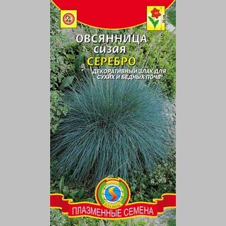 Овсяница Серебро (сизая) - Семена Тут