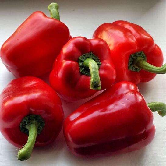 Перец Гусарский кубок