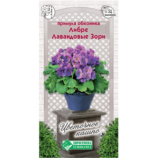 Примула Либре Лавандовые Зори (обконика)