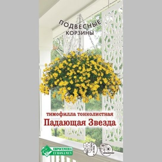 Тимофилла Падающая Звезда