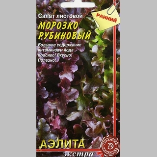 Салат Морозко рубиновый - Семена Тут