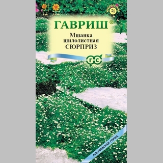 Мшанка Сюрприз - Семена Тут