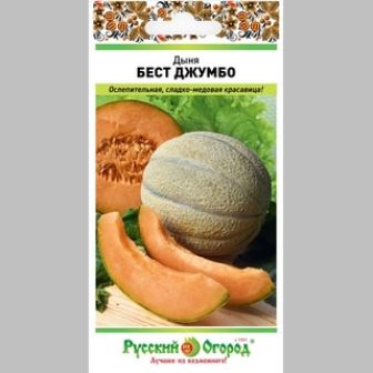 Дыня Бест Джумбо