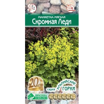 Манжетка Скромная Леди (мягкая)