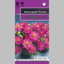 Цинния Белиз Даубл Розовая - Семена Тут