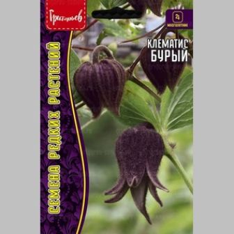 Клематис Бурый (Ломонос) (большой пакет)