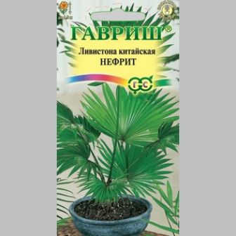 Ливистона Нефрит (китайская)