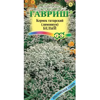 Кермек Белый татарский (Лимониум)