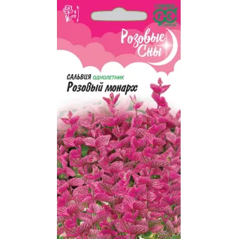 Сальвия Розовый монарх