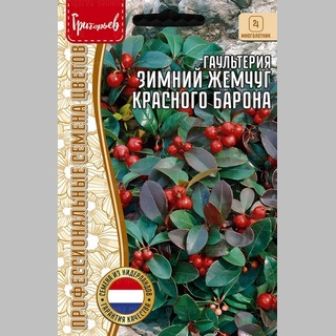 Гаультерия Зимний Жемчуг Красного Барона (Winter Pearls Red Baron) (большой пакет)