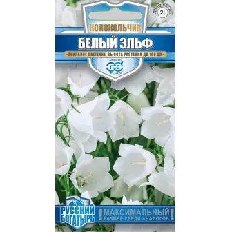 Колокольчик Белый Эльф (персиколистный)