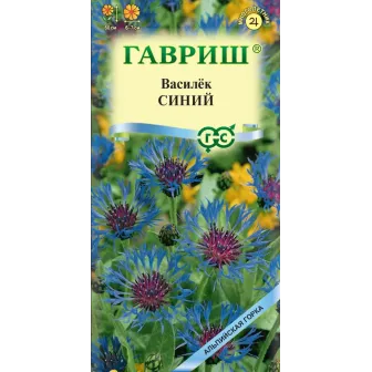 Василек Синий (горный)