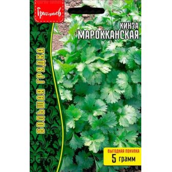 Кинза Марокканская (большой пакет)