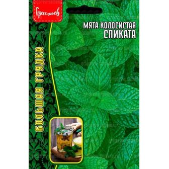 Мята Спиката колосистая (большой пакет)