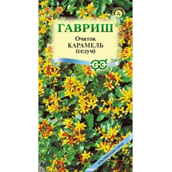 Очиток Карамель (камчатский)